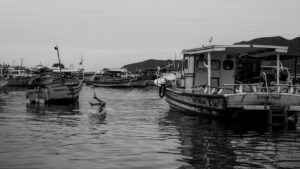 Por trás do Olhar: Histórias de Fotografias que Mudaram o Mundo